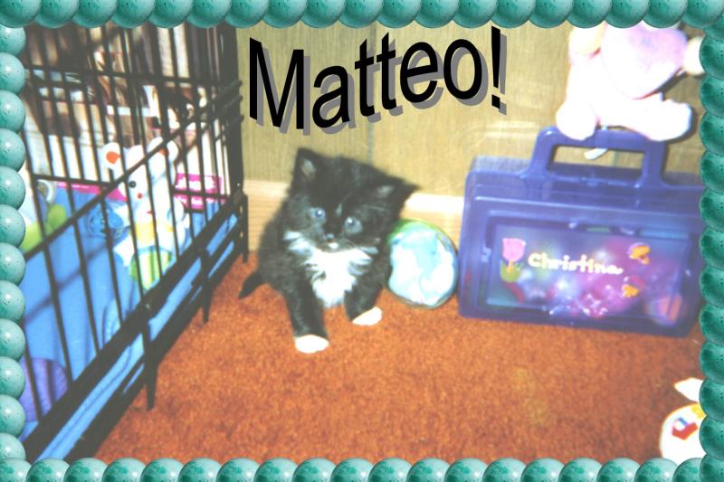matteo.jpg